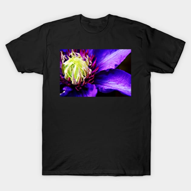 Purple Clematis flower macro T-Shirt by InspiraImage